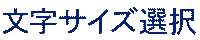 文字サイズ選択
