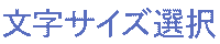 文字サイズ選択