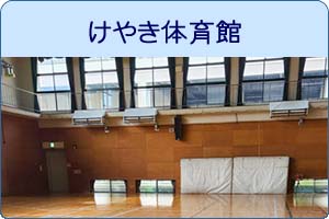 けやき体育館